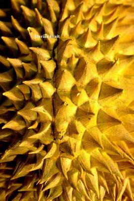 Book cover for Durian Fruit