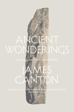 Cover of Ancient Wonderings
