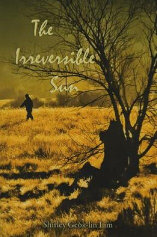 Cover of The Irreversible Sun