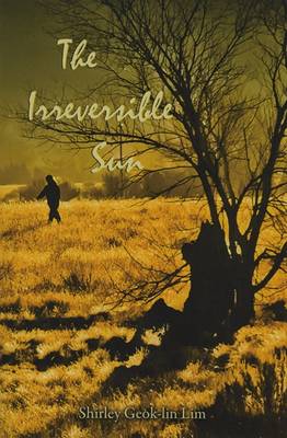 Book cover for The Irreversible Sun