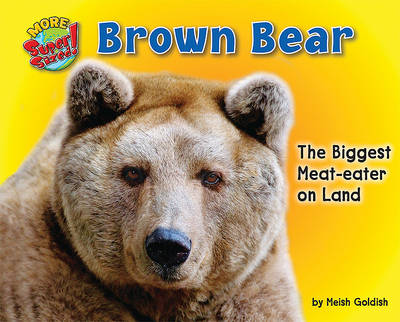 Book cover for Brown Bear