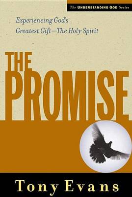 Book cover for The Promise