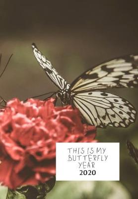 Book cover for This Is My Butterfly Year