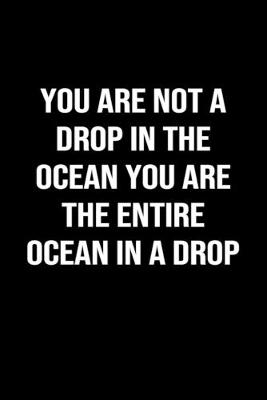 Book cover for You Are Not A Drop In The Ocean You Are The Entire Ocean In A Drop