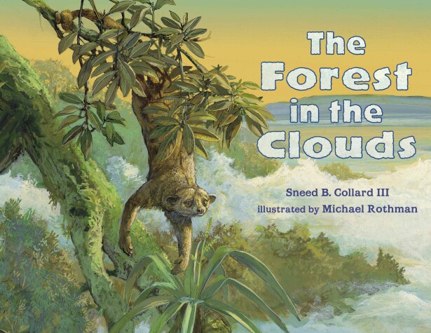 Book cover for The Forest in the Clouds