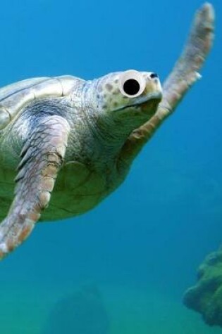 Cover of Googly Eye Sea Turtle