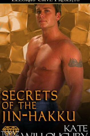 Cover of Secrets of the Jin-Hakku
