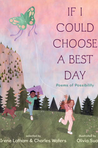 Cover of If I Could Choose a Best Day: Poems of Possibility