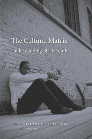 Cover of The Cultural Matrix