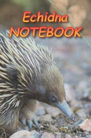 Cover of Echidna NOTEBOOK