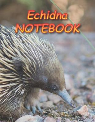 Book cover for Echidna NOTEBOOK