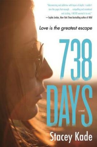 Cover of 738 Days