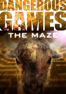 Book cover for Dangerous Games: The Maze