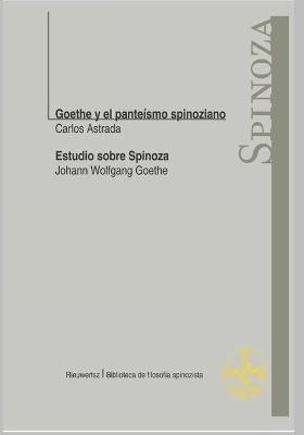 Book cover for Goethe y el panteísmo Spinoziano