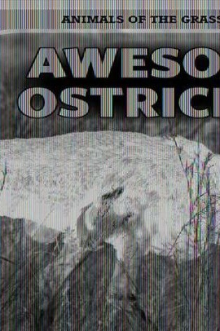 Cover of Awesome Ostriches