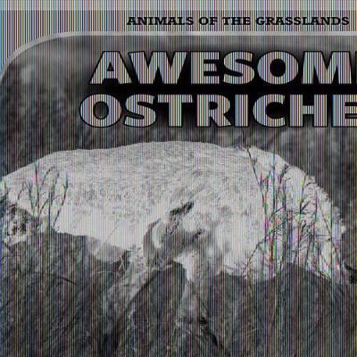 Cover of Awesome Ostriches