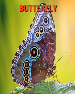 Book cover for Butterfly