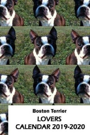 Cover of Boston Terrier Lovers Calendar 2019-2020