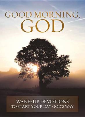 Book cover for Good Morning, God