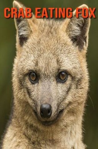 Cover of Crab Eating Fox