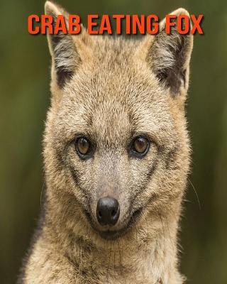 Book cover for Crab Eating Fox