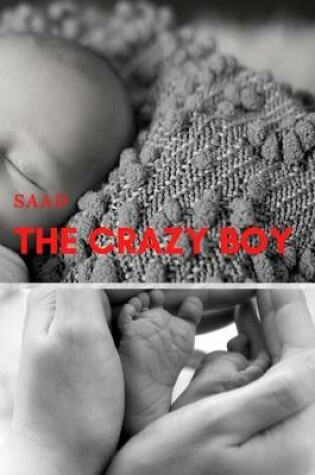 Cover of The crazy boy