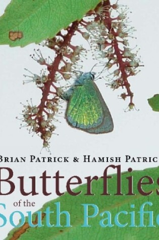 Cover of Butterflies of the South Pacific