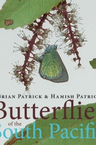 Cover of Butterflies of the South Pacific