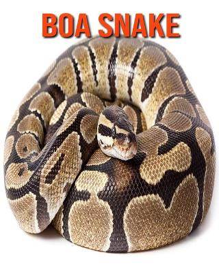 Book cover for Boa Snake