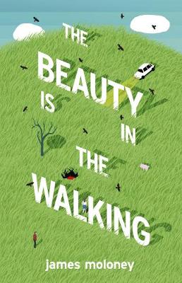 Book cover for The Beauty is in the Walking