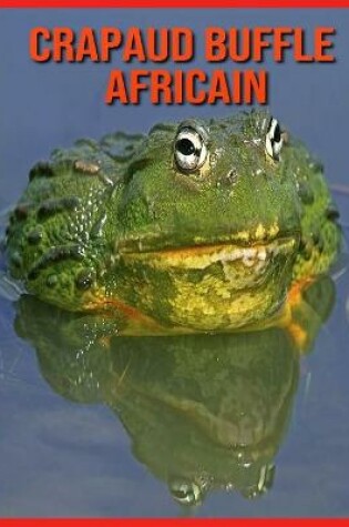 Cover of Crapaud Buffle Africain