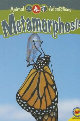 Cover of Metamorphosis