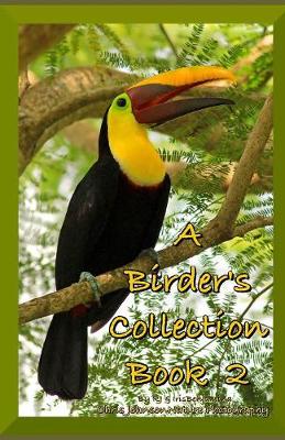 Book cover for A Birder's Collection Book 2