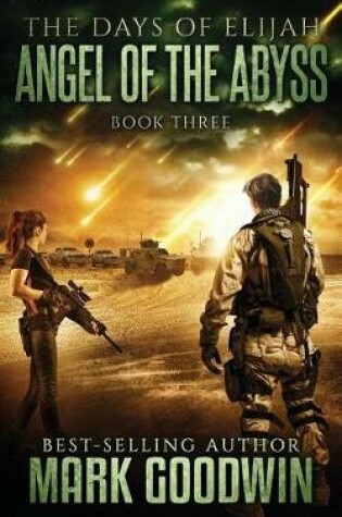 Cover of Angel of the Abyss