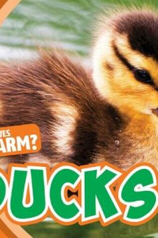 Cover of Ducks