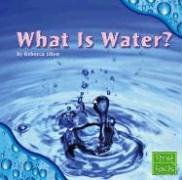 Book cover for What Is Water?