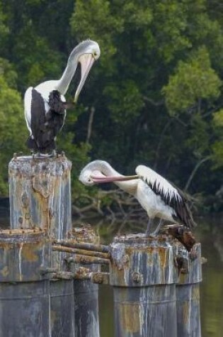 Cover of Pelicans in Australia Journal