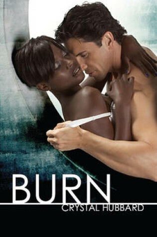 Cover of Burn