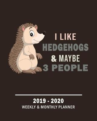 Book cover for I Like Hedgehogs & Maybe 3 People 2019 - 2020 Weekly & Monthly Planner