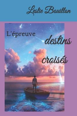 Book cover for Destins croisés