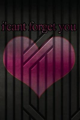 Book cover for i'cant forget you