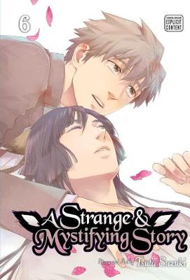 Cover of A Strange & Mystifying Story, Vol. 6
