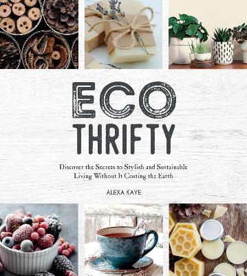 Book cover for Eco-Thrifty