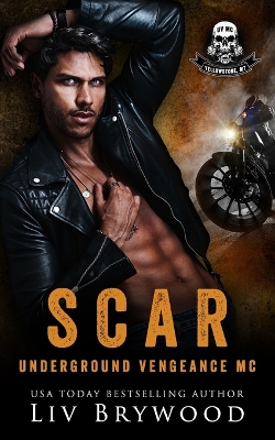 Book cover for Scar