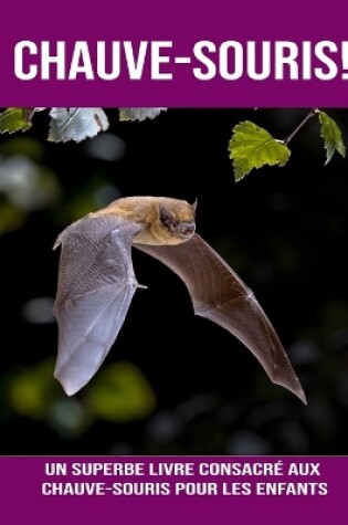 Cover of Chauve-Souris! Un Superbe Livre Consacré aux Chauve-Souris pour les Enfants