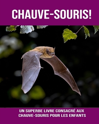 Book cover for Chauve-Souris! Un Superbe Livre Consacré aux Chauve-Souris pour les Enfants