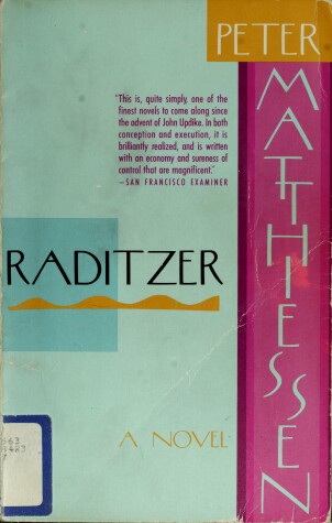 Book cover for Raditzer - V343