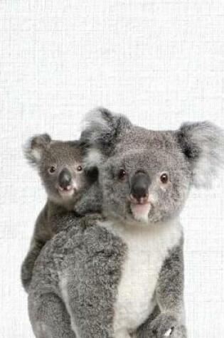 Cover of Cute Animal Composition Book Koala