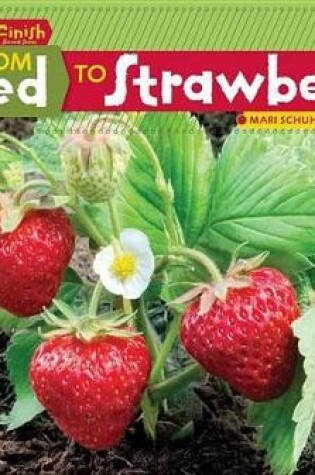 Cover of From Seed to Stawberry