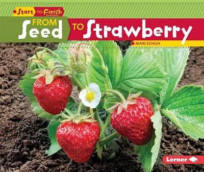 Cover of From Seed to Stawberry